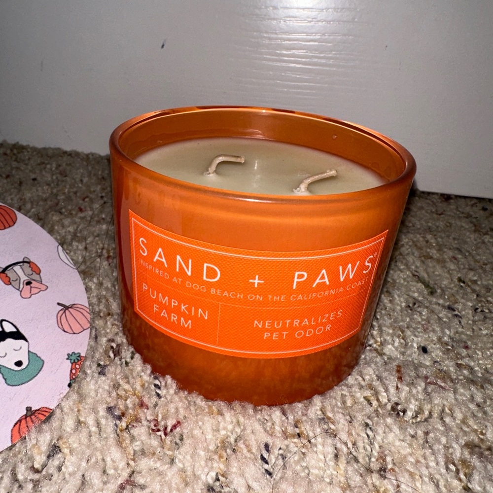Sand and fog paws 🐾 pumpkin 🎃 farm holiday fall candle - Picture 4 of 9